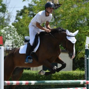 Scuola di equitazione a Mogliano Veneto